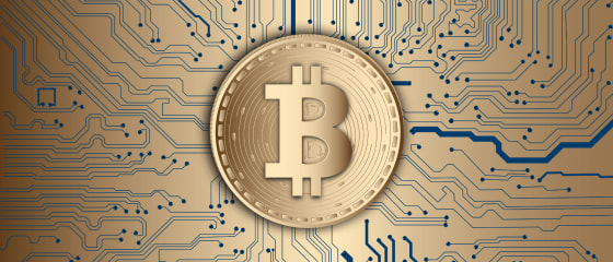 Bitcoin جوئے کے فائدے اور نقصانات